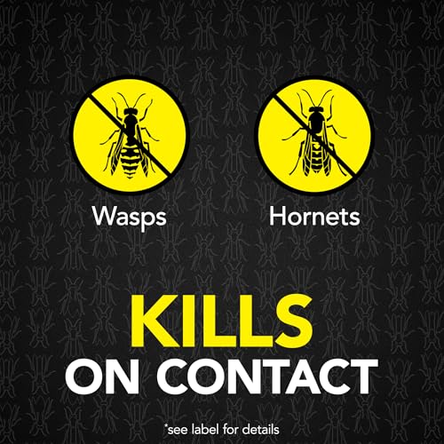 Image of Raid MAX Foaming Wasp & Hornet Killer, Fast Coverage Foam, Outdoor Bug Spray, 16.5 oz