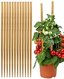 Strong Bamboo Sticks for Plants,18 Inch Tall Bamboo Poles for Plants, Plant Stakes for House Outdoor Indoor, Wood Garden Stakes for Potted Tomato Flower, 12 Pieces Long Wooden Rods Heavy Duty Support