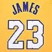 OuterStuff Youth Los Angeles Lakers #23 LeBron James Kids Gold Jersey