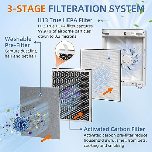 True HEPA Replacement Filter for LEVOIT Vital 100 Air Purifier, 3-in-1 H13 HEPA High-Efficiency Activated Carbon Filter, 