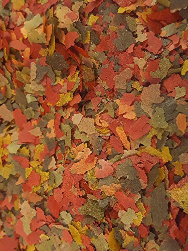 Best Small Hand Planer