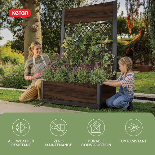 Image of Keter Outdoor Planter Box with Privacy Screen and Trellis - 26 Gallon Raised Garden Bed for Climbing Plants & Flowers - Wood-Look Resin, Weather-Resistant Divider for Patio, Balcony & Backyard