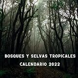  Calendario Bosques y Selvas Tropicales 2022: Con días Festivos USA  Planificador de 12 meses Enero de 2022 - Diciembre de 2022 Calendario  Regalos Para Amantes De Los Gatos