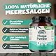 Pets Purest Zahnpflege Pulver - 100% Natürliche Zahnsteinentferner Hund, Katzen & Haustiere 185g. Zahnpflege Katzen & Hunde - für Mundgeruch, Zahnstein & Zahnfleischerkrankungen