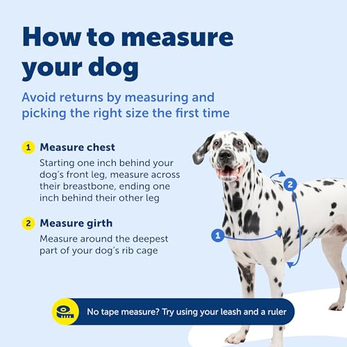 PetSafe Easy Walk Hundegeschirr, kein Ziehen, perfekt für Leinen- und Geschirr-Training, verhindert, DASS Haustiere bei Spaziergängen ziehen und ersticken – Größe M/L, Anthrazit/Schwarz