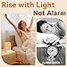 Wkzay White Noise Sound Machine: Sunrise Alarm Clock for Gentle Wake Up - 30 Soothing Sounds, Adjustable Volume & Night Light, Timer - Easy to Sleep, Relax, Focus
