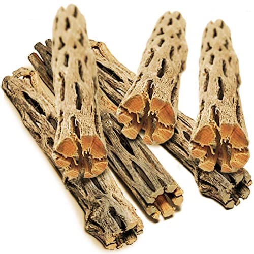 SunGrow Leopard Gecko Cholla Wood, 5 Inches Long, Create Basking Spot, Artistic Home-Decor, Lizards...