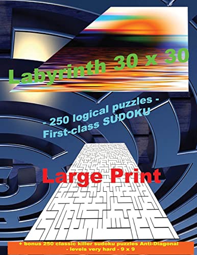 Labyrinth 30 x 30 - 250 logical puzzles - First-class SUDOKU: Large Print + Solutions + bonus 250 classic killer sudoku puzzles Anti-Diagonal - levels very hard - 9 x 9 (PITSTOP Puzzle Bonus)