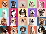 Puzzles for Kids Ages 6-8 8-10, 200 Piece Cute Dog