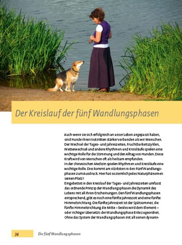 TCM - Traditionelle Chinesische Medizin für Hunde: Hunde heilen nach den fünf Elementen