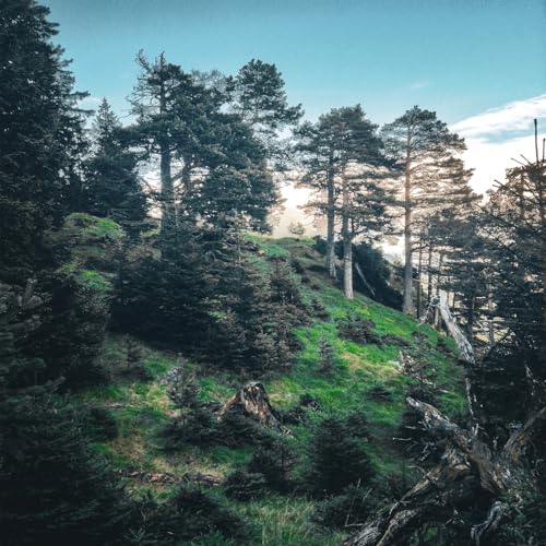 A wonderful wildlife surprise in Bavaria