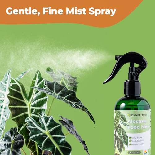 Alocasia Food Mist Spray Fertilizante Líquido 8 fl oz miniatura 6