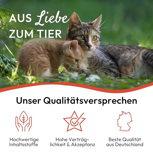 PHA Spot On für Katzen – Natürliches Floh- Zeckenmittel Katzen, Schutz gegen Flöhe, Zecken & Milben mit Neemöl & Laurinsäure, Zeckenschutz Katze, Anti Floh Katze, 2 Tuben à 1,5 ml