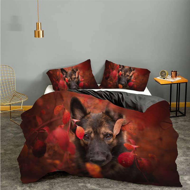 Parure de lit 240x260 anti-plis en microfibre douce pour lit deux personnes
