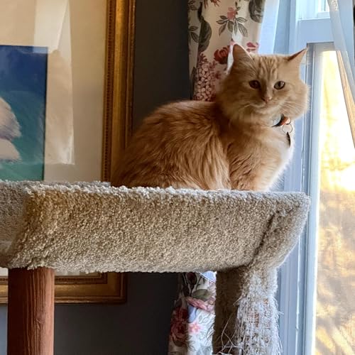 Episode 10 &ldquo;Chloe&rsquo;s Window&rdquo;