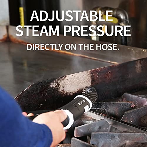 Dupray One Steam Cleaner- Portable, All-Purpose, Disinfecting, Chemical-Free Floor Steamer & Tile Cleaner Made In Europe For Home And Professional Use #TOP5