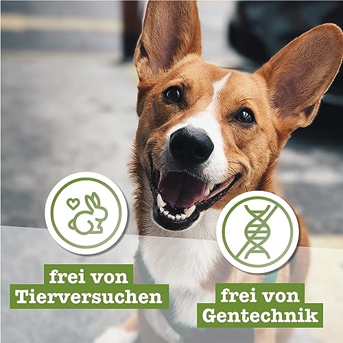 Chewies Fleischstreifen Maxi Hundeleckerli aus 100% Kaninchenfleisch - 150 g - luftgetrocknete Kaninchen Kaustreifen für Hunde - zuckerfrei & getreidefrei - Dörrfleisch vom Kaninchen (Packung mit 2)
