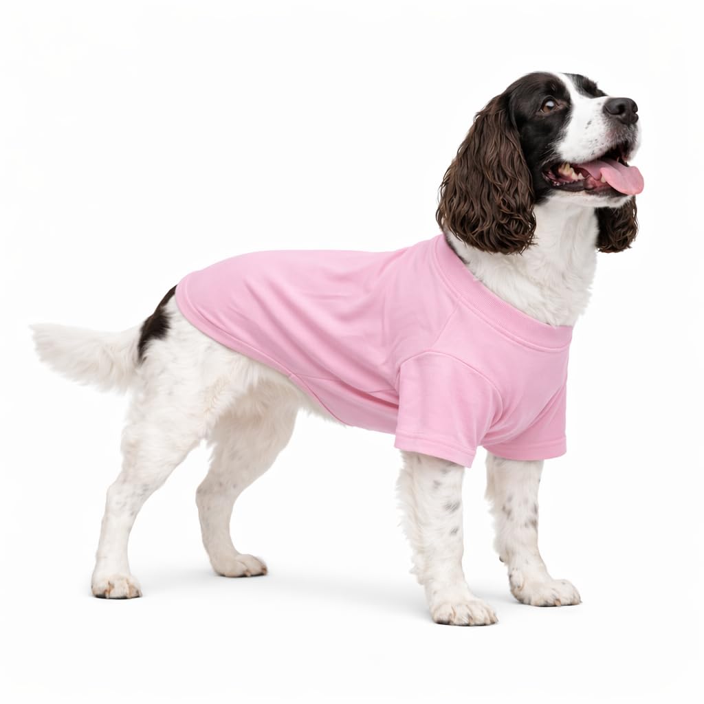 Vêtements pour chien rose XXL+ parfait pour la promenade quotidienne en ville