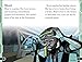 Marvel Black Panther Shuri Defender of Wakanda (DK Readers Level 2)