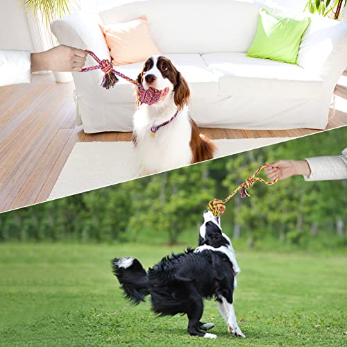 Vivifying Hundespielzeug Seil mit Ball, 2 Stück Interaktive Geflochtene Baumwolle Hundeseil Knoten für Hunde Zähne Reinigung