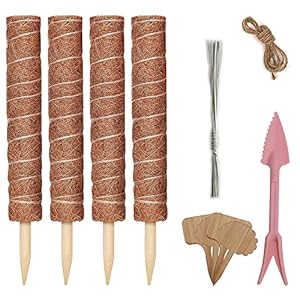 HIQE-FL Monstera Klimhulp voor planten, 4 stuks, plantenstokken, klimhulp voor kamerplanten, plantenstok, kokos…