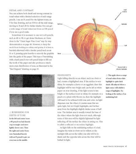 Botanical Portraits with Colored Pencils