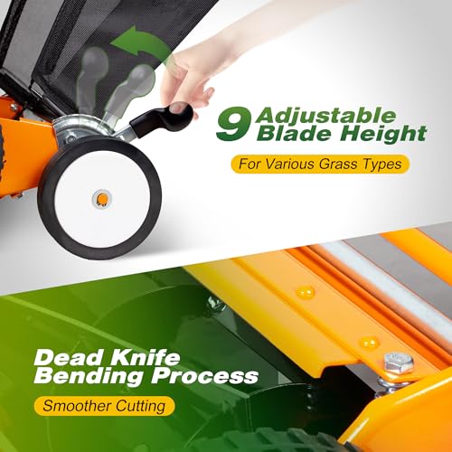 Image of Walensee 20-Inch 5-Blade Push Reel Lawn Mower, Cordless Manual Reel Lawn Mower Walk-Behind Steel Lawn Mowers with Removable 11.8-Gallon Grass Catcher, Sponge Grip, 9-Position Cutting Height Adjustment