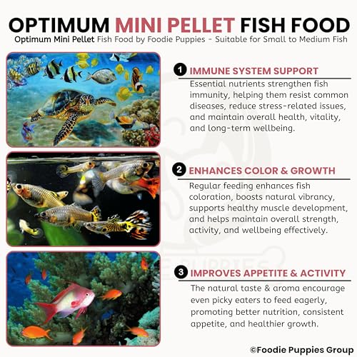 Image of Foodie Puppies Optimum Fish Food - 200gm (Mini Pellet) | Highly Digestible & Added with Fish Meal & Corn Protein Meal | Highly Nutritious Fish Food for All Aquarium Fish with Free Key Ring