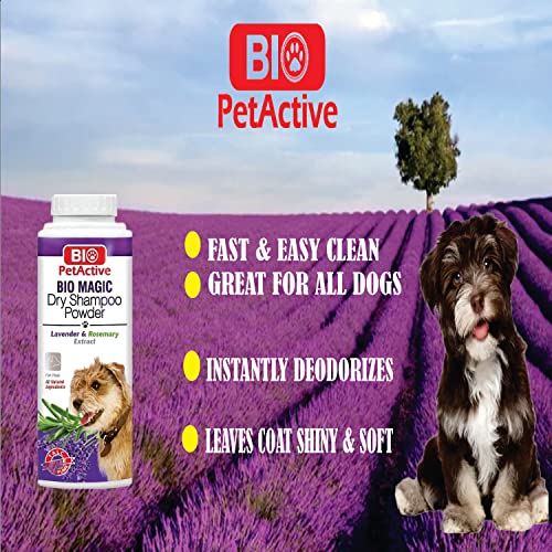 Bio Magic Dry Shampoo Powder With Lavender And Rosemary For Dogs | Cleansing And Moisturizing Perfume And Talc Free Suitable For Sensitive Skin - 5.29 Oz #TOP5