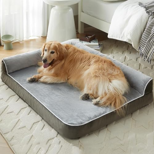 Image of Gorgeous Dog Beds Memory Foam Large Bed Waterproof Layer for Labrador, Bulldog, Retriever, Poodle, Large Breed Dog Bed Dark Grey (Dark Grey, 47x29x4) XXL
