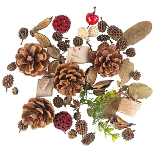 Ideen mit Herz Mélange de pot-pourri forestier - 80 g - Mélange de branches artificielles et de véritables matériaux naturels tels que pommes de pin, feuilles,...