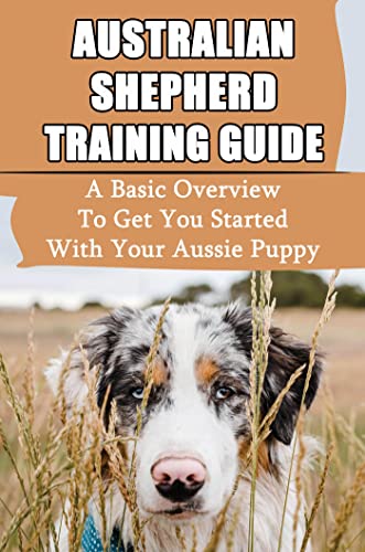 Australian Shepherd Training Guide: A Basic Overview To Get You