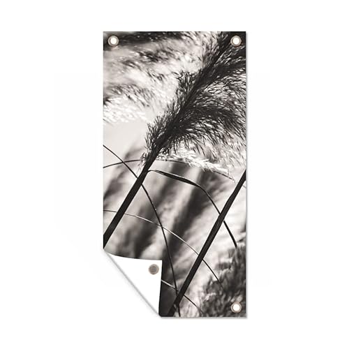 MuchoWow Poster exterieur Herbe de la pampa - Noir - Blanc - Plante Decoration murale 40x80 cm Résistant aux intempéries/soleil