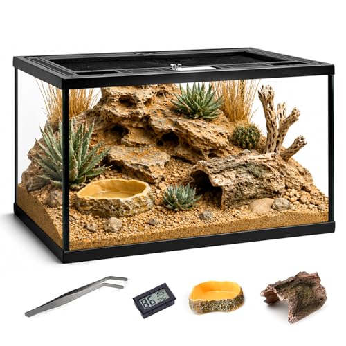 Reptile Glass Tank Starter Kit Terrarium