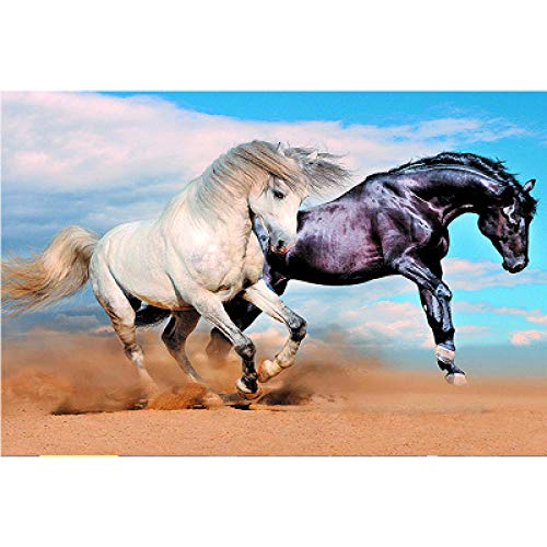 Peinture diamant 5D cheval noir et blanc en résine complète pour broderie mosaïque diy