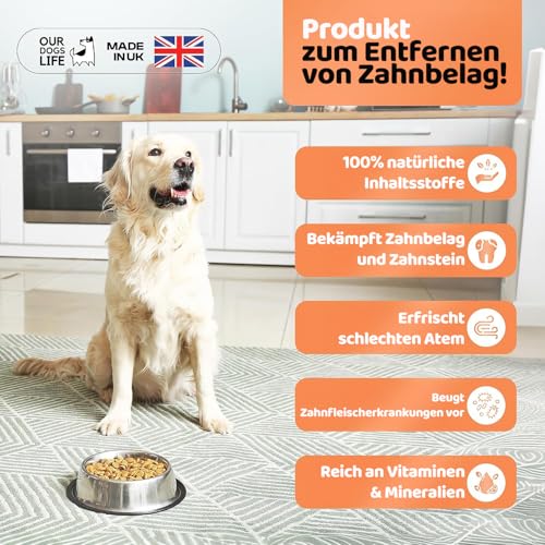 Plaque Off Pulver für Hunde 500g | Natürliche Zahnreinigung | Zahnstein Entferner & Atem Erfrischer | 100% Natürlich | DogsLife