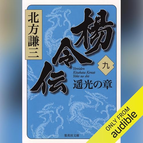 Page de couverture de 楊令伝　九　遥光の章