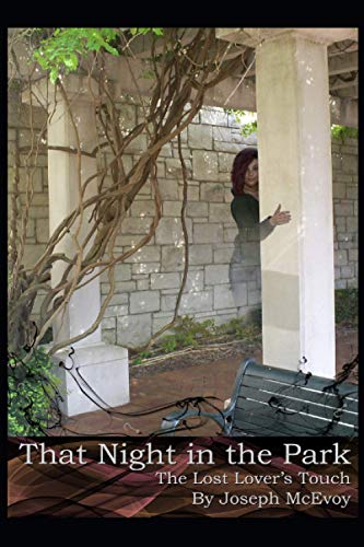 That Night in the Park: The Lost Lover's Touch (The Torn Veil Series)