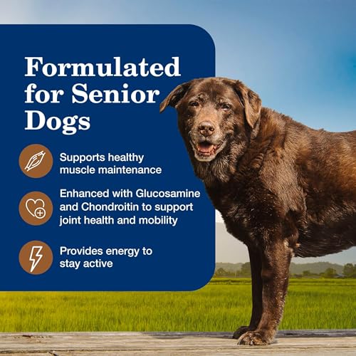 Image of Blue Buffalo Homestyle Recipe Turkey Senior Wet Dog Food, 12.5 oz, 12 ct
