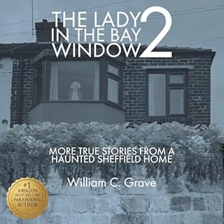 The Lady in the Bay Window, Book 2 cover art