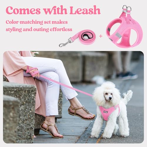 Image of rabbitgoo Dog Harness Medium Sized and Leash Set, Step-in Puppy Pet Vest