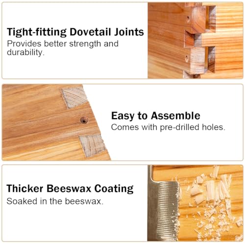 BeeCastle 10 Frame Langstroth Bee Hive Coated with Beeswax Includes Beehive Frames and Waxed Foundations (2 Deep Boxes & 1 Medium Box)