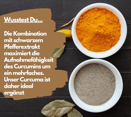 Exvital Curcuma + Bioperin ® - Curcumin hochdosiert, 1500 mg, 90 Kapseln, 1er Pack (1 x 72 g)