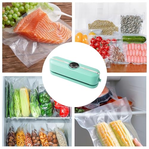 Machine sous vide alimentaire mini pour viande et repas