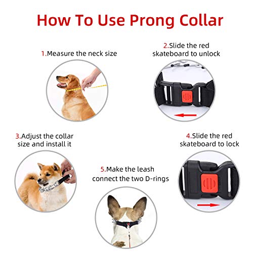 Best Dog Pinch Collars Buying Guide Gistgear