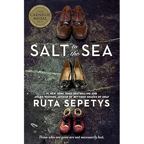 Salt to the Sea Cover
