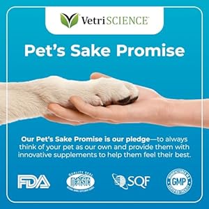 VetriScience Composure Calming Chews for Dogs – Clinically Proven Dog Anxiety Relief Supplement with Colostrum, L-Theanine & Vitamin B1 for Stress, Storms, Separation & More – 60 Count, Chicken Flavor