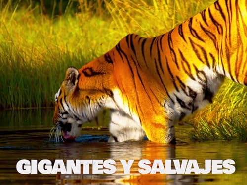 Gigantes y Salvajes