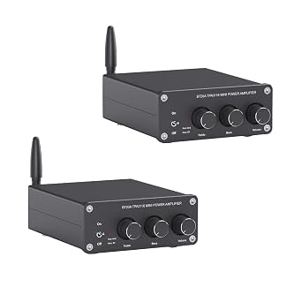 2PCS BT20A 5.0 Stereo Audio 2 Channel Amplifier Mini Hi-Fi Class D Integrated Amp 2.0 CH for 100W x 2 with Bass and Treble Control TPA3116