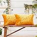 Deconovo Set di 2 Pezzi Federe Cuscini Natalizi 30x50 CM per Divano Camera da Letto, Fodere per Cuscini Moderni Resistente in Velluto Elegante con Cerniera Invisibile, Giallo